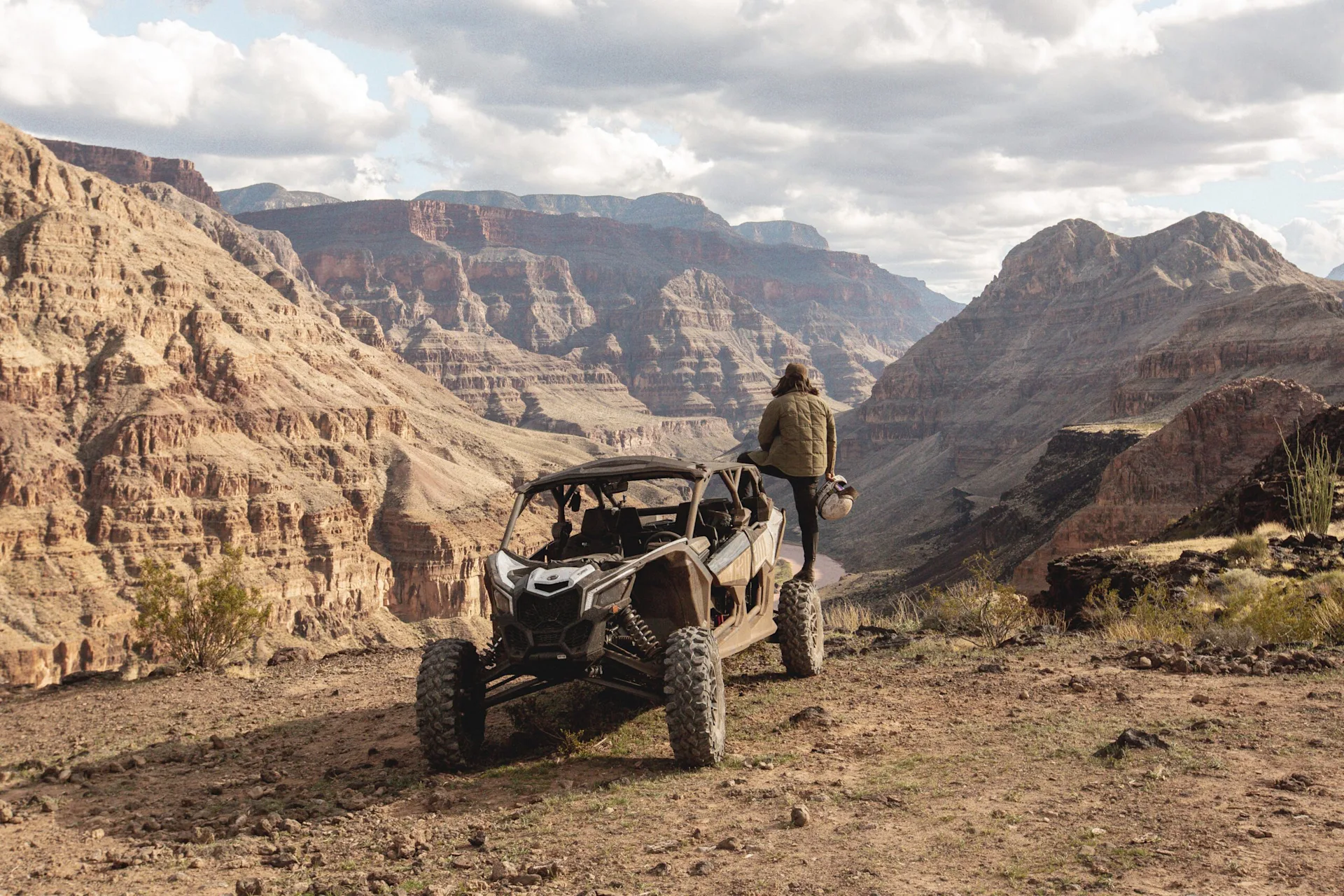 wilderness collective