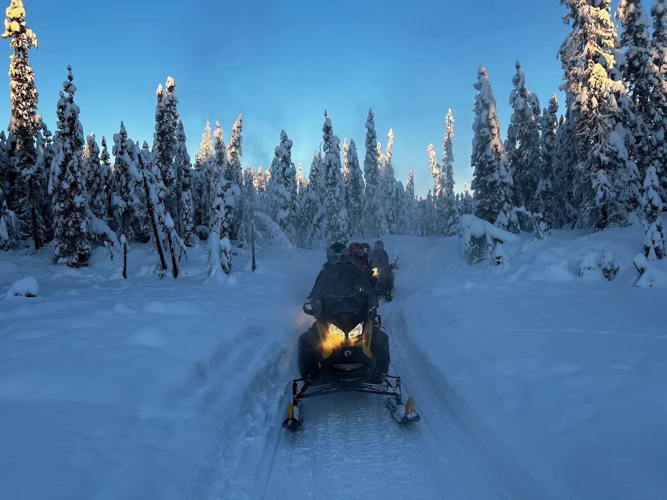 Midnight Sun ATV Tours - image 3