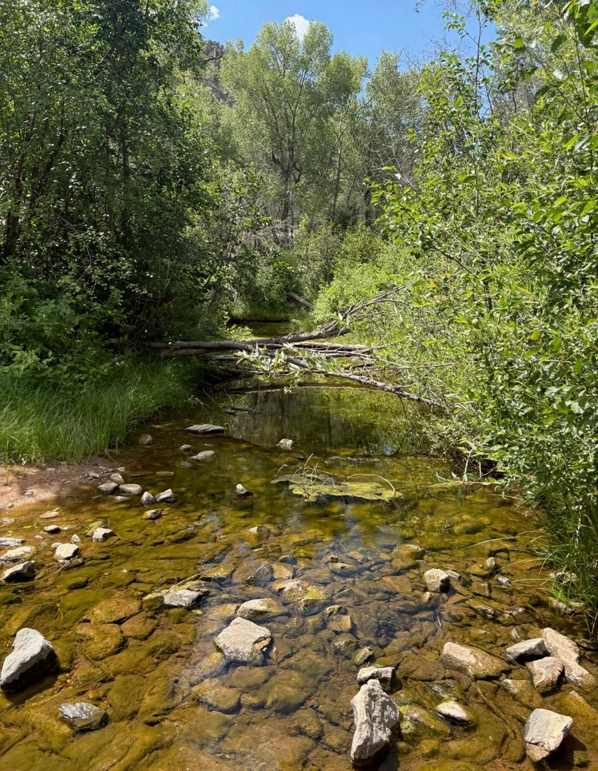 east creek adventures 