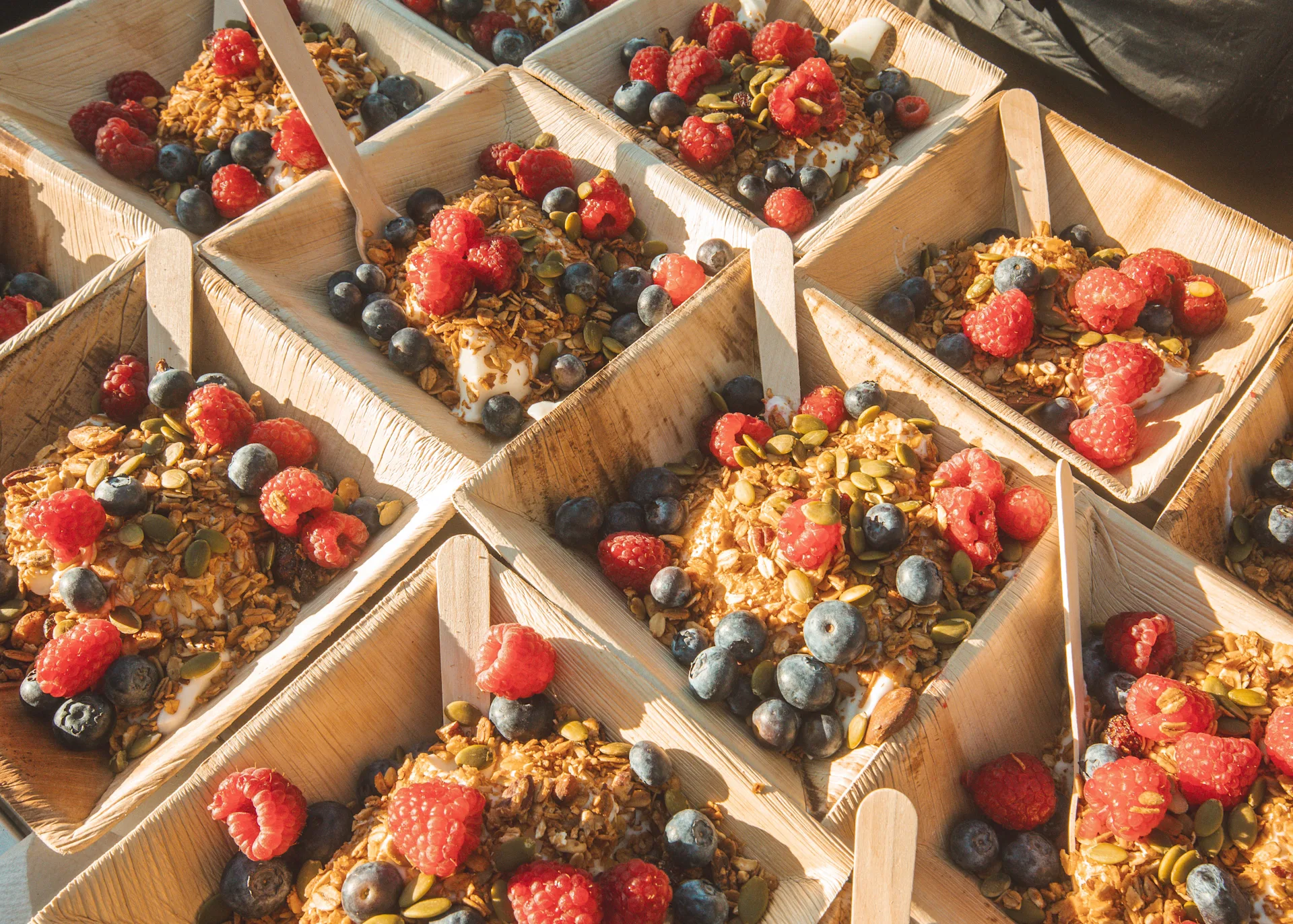 wilderness collective