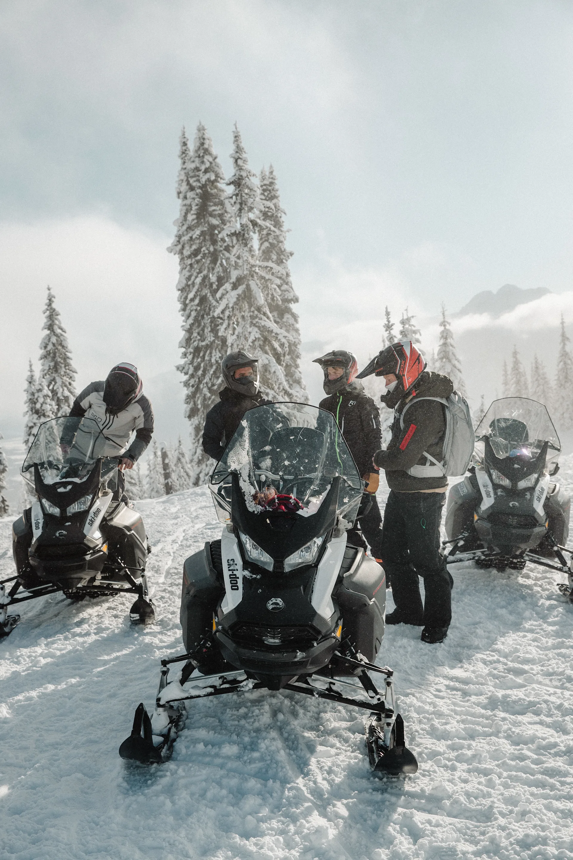 great canadian tours 