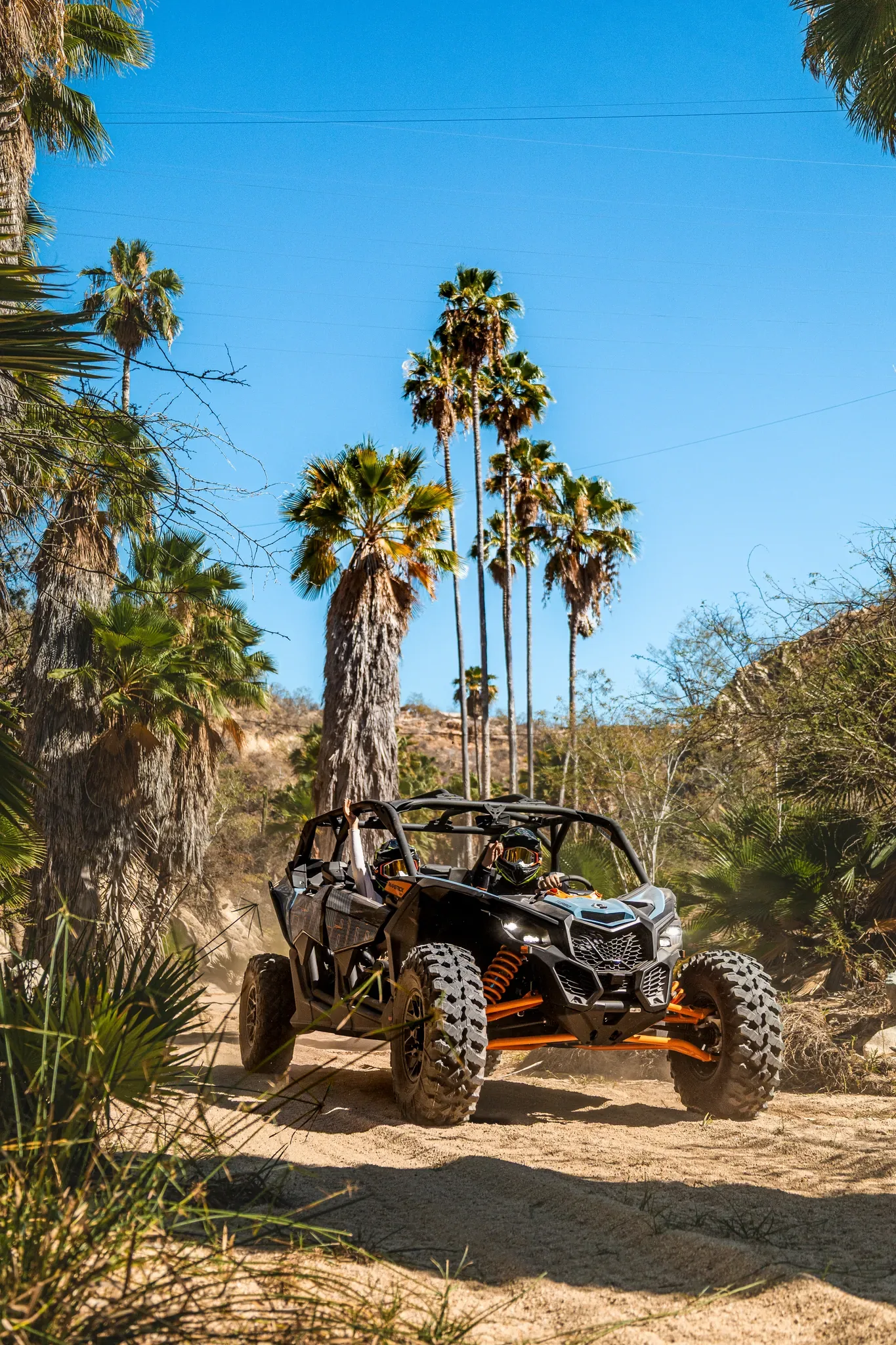 Wild Canyon Adventures 