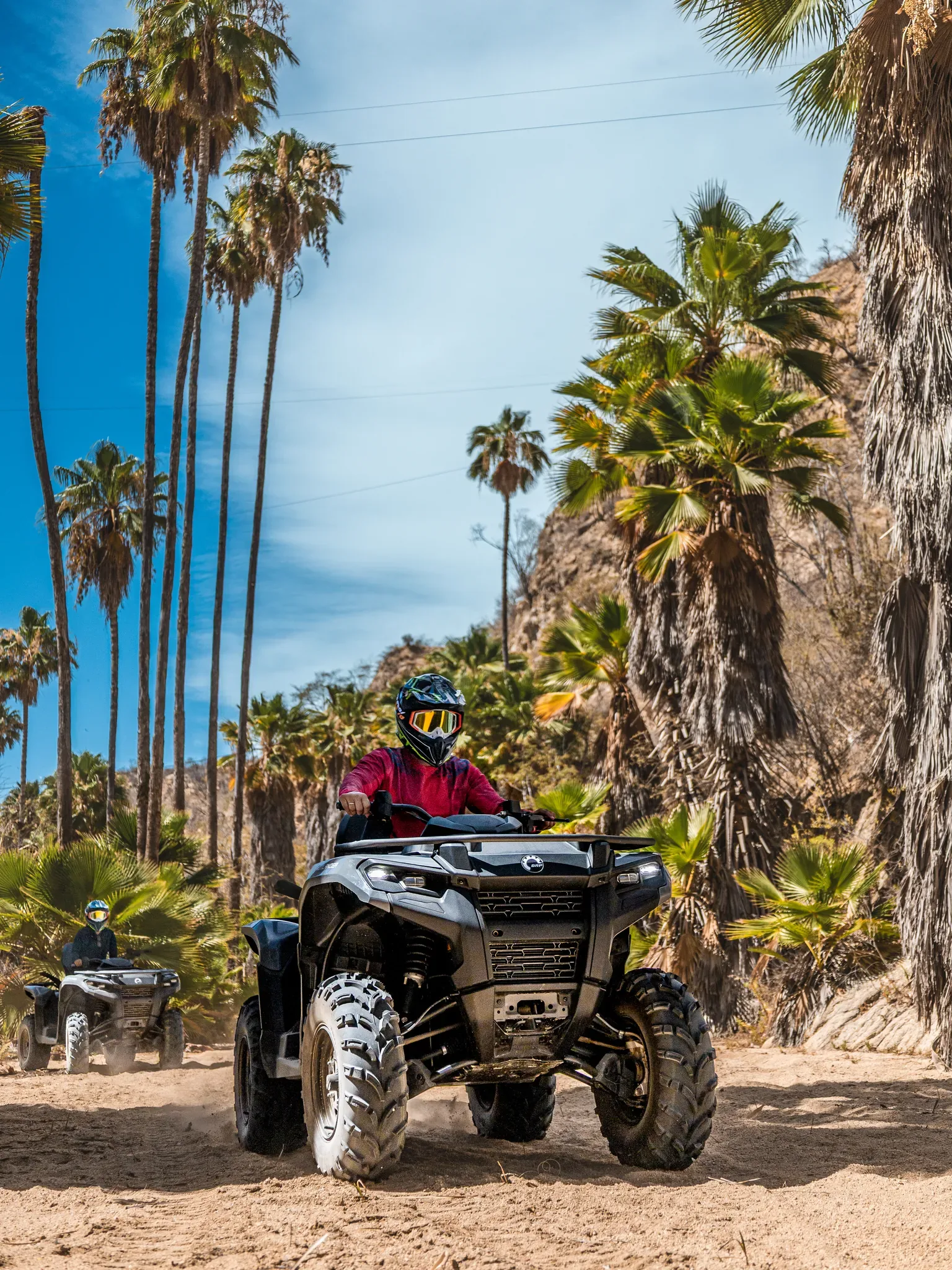 Wild Canyon
