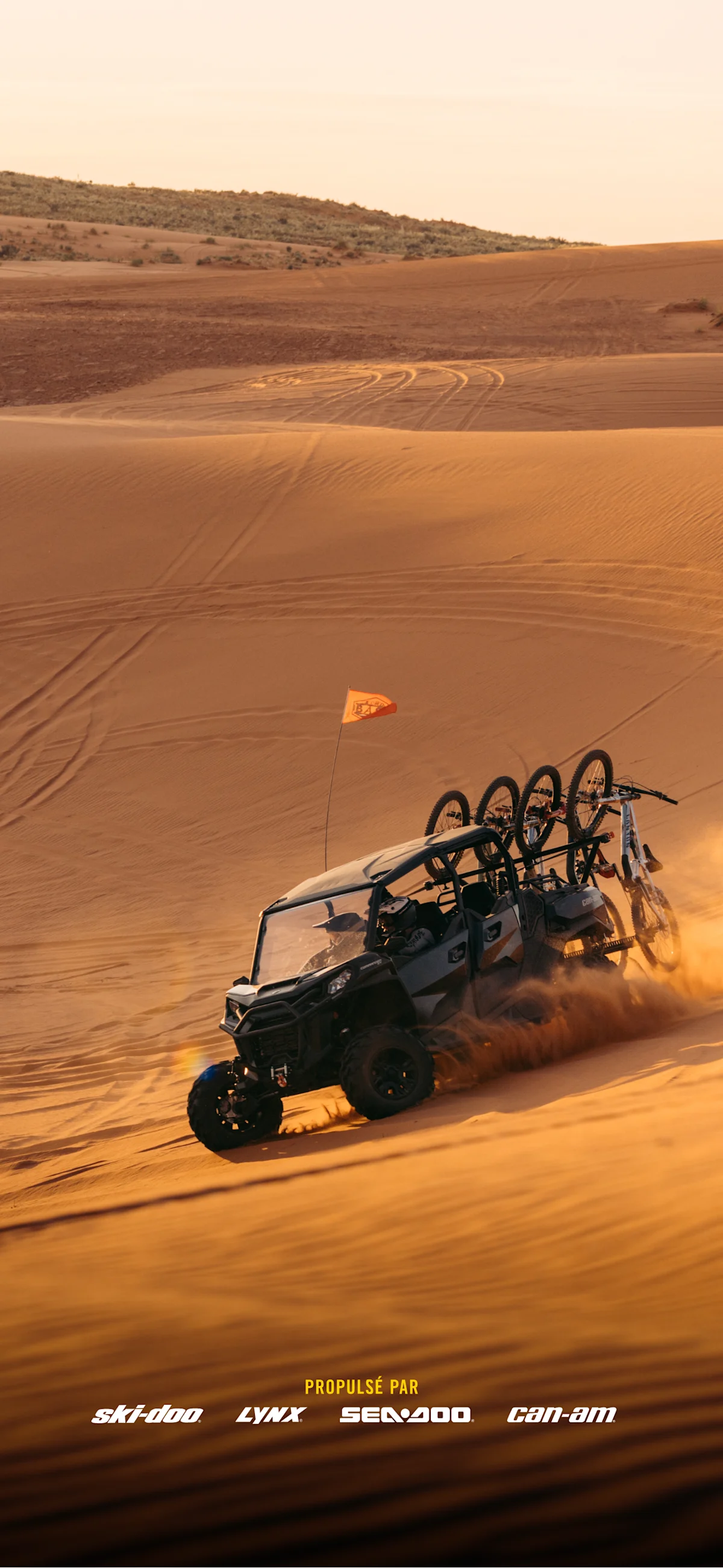 Votre prochaine aventure commence ici