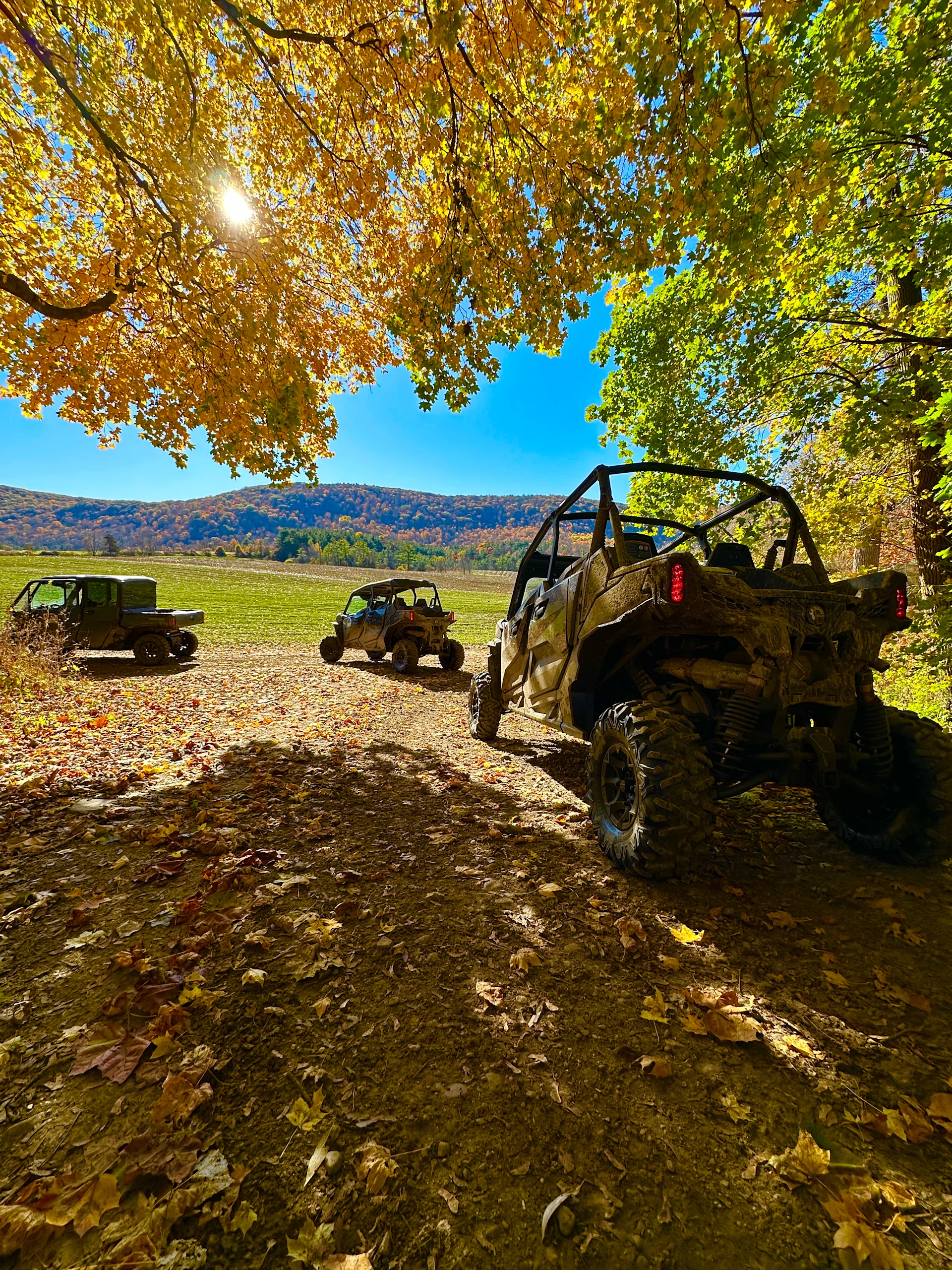 backyard adventure tours 