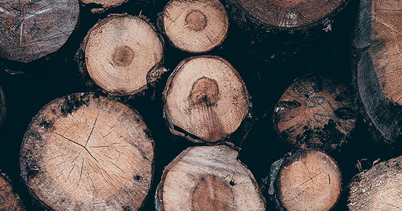 Feast Watson - Know Your Timber Type | Feast Watson