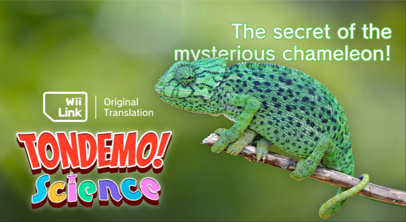 Tondemo Chameleon