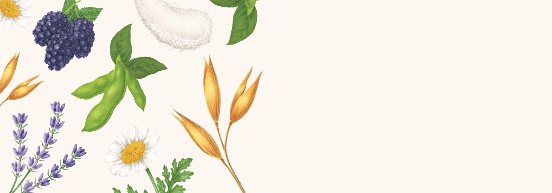avn website ingredient banner collage 1920x672 0
