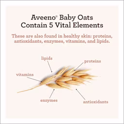 Digital image showing vital elements of oats: proteins, antioxidants, enzymes, vitamins, lipids