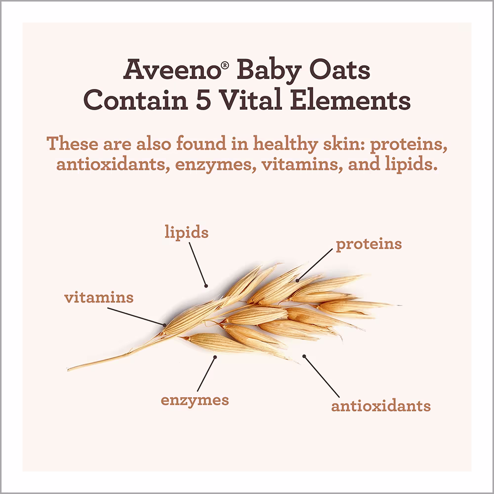 Digital image showing vital elements of oats: proteins, antioxidants, enzymes, vitamins, lipids