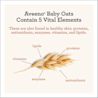 Digital image showing vital elements of oats: proteins, antioxidants, enzymes, vitamins, lipids