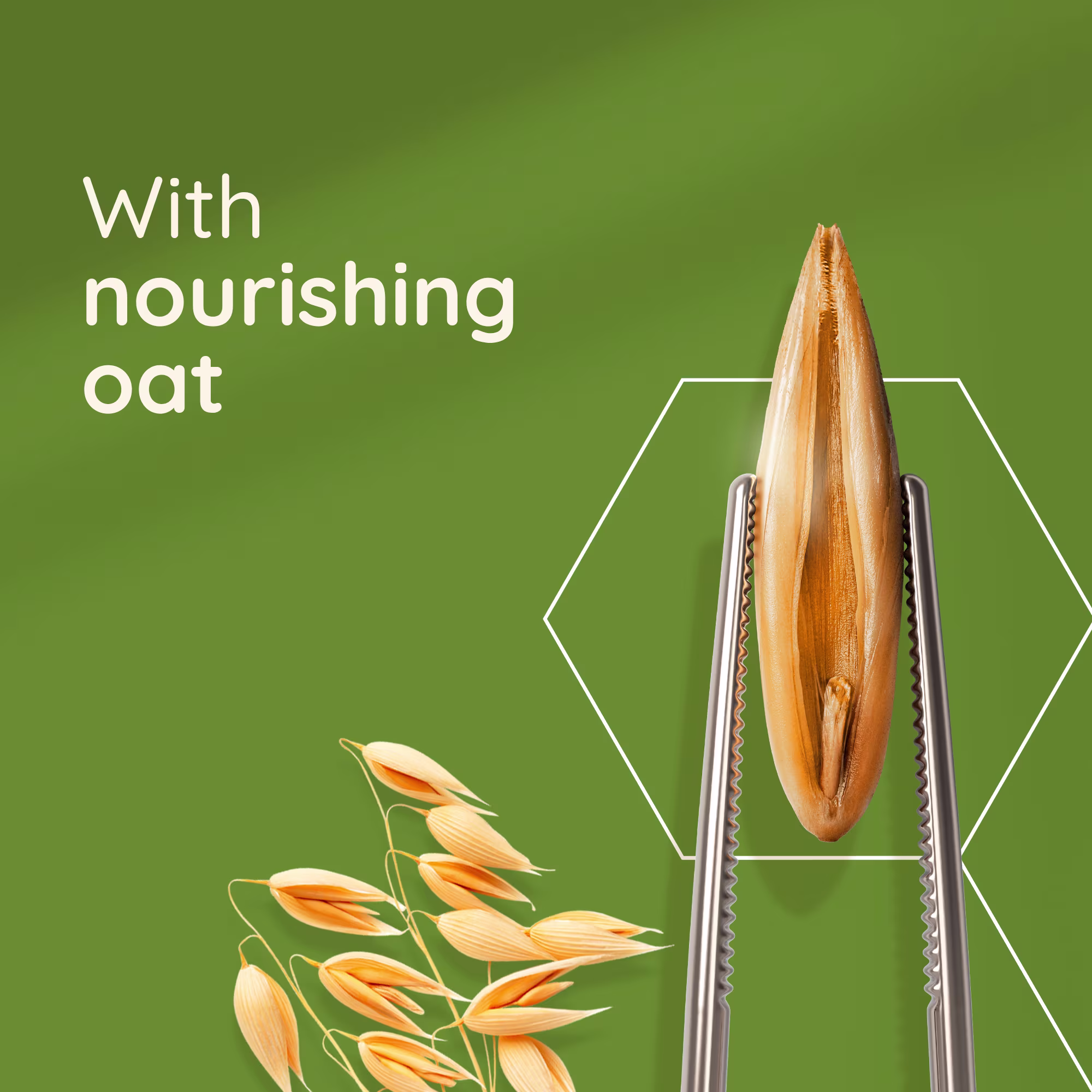 with nourishing oat