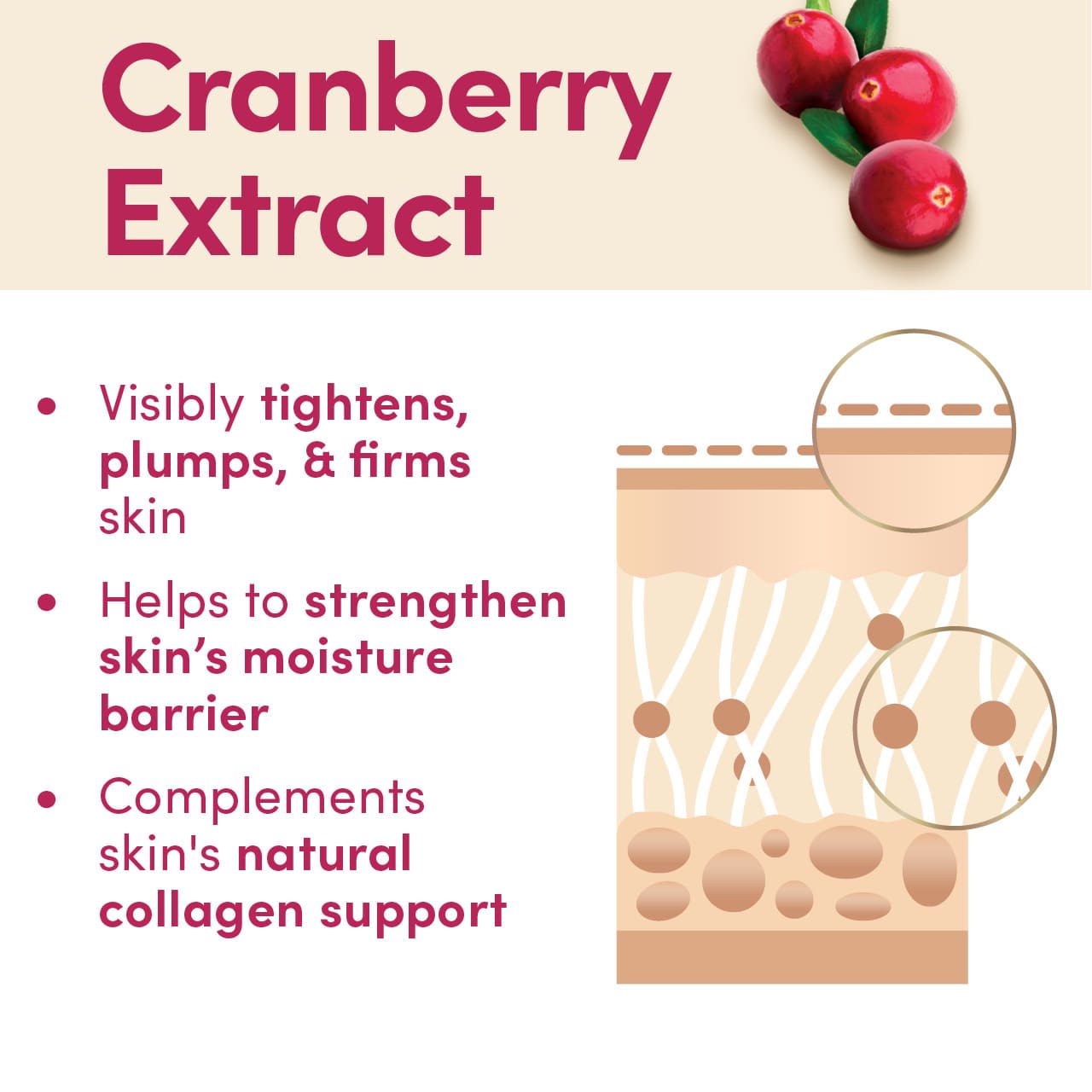 Aveeno® Calm + Restore Age Renewal Serum - Image 5 - Aveeno Skin benefits of cranberry extract as an ingredient