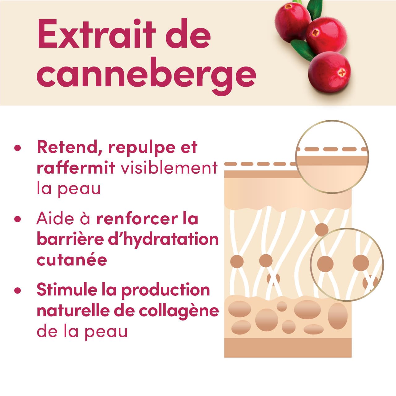 js 3998 av ocean spray twilight carousel images fra-13 Bienfaits de l'extrait de canneberge pour la peau