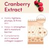 Skin benefits of cranberry extract as an ingredient