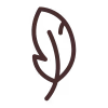 Leaf Icon