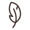 Leaf Icon