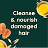 Cleanse & nourish damaged hair