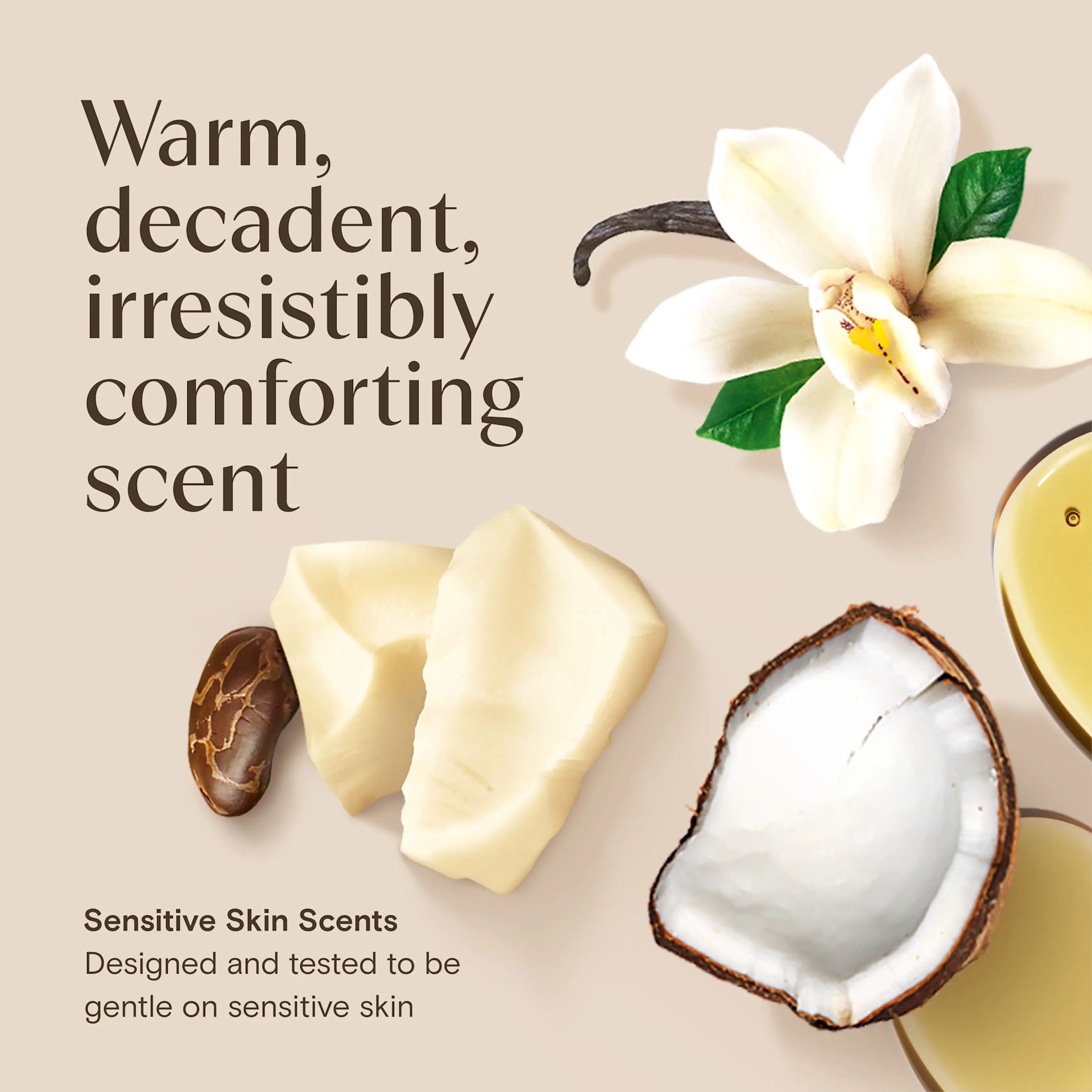 AVE EMEA UK 3574661883755 Aveeno Daily Moisturising Oil Spray Cocoa Vanilla 200ML SI03 THUMB JPG