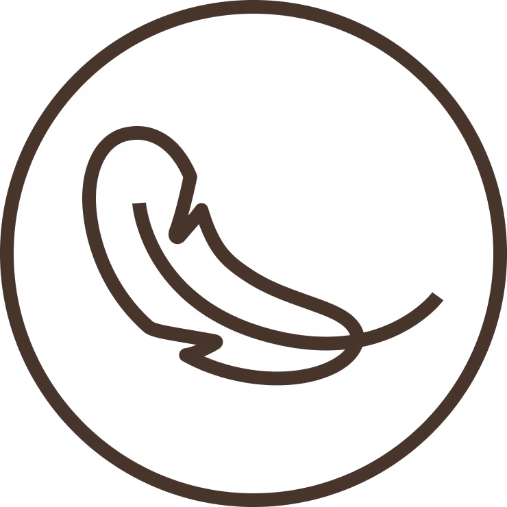 A graphic illustration of a feather, representing sensitive skin