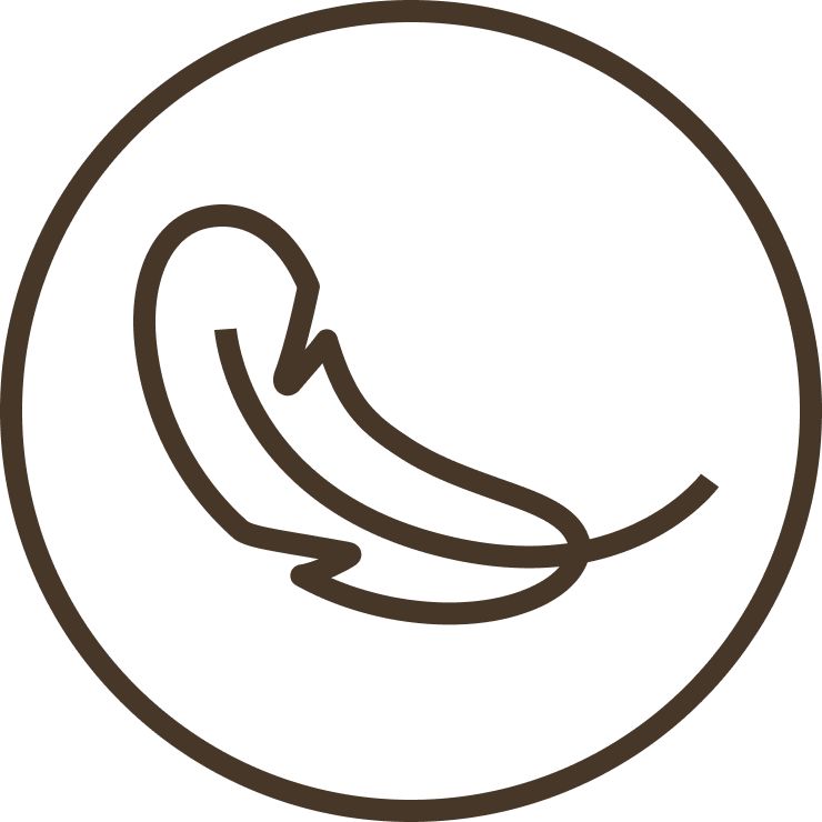 A graphic illustration of a feather, representing sensitive skin