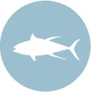Tuna