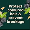 Protect coloured hair & prevent breakage