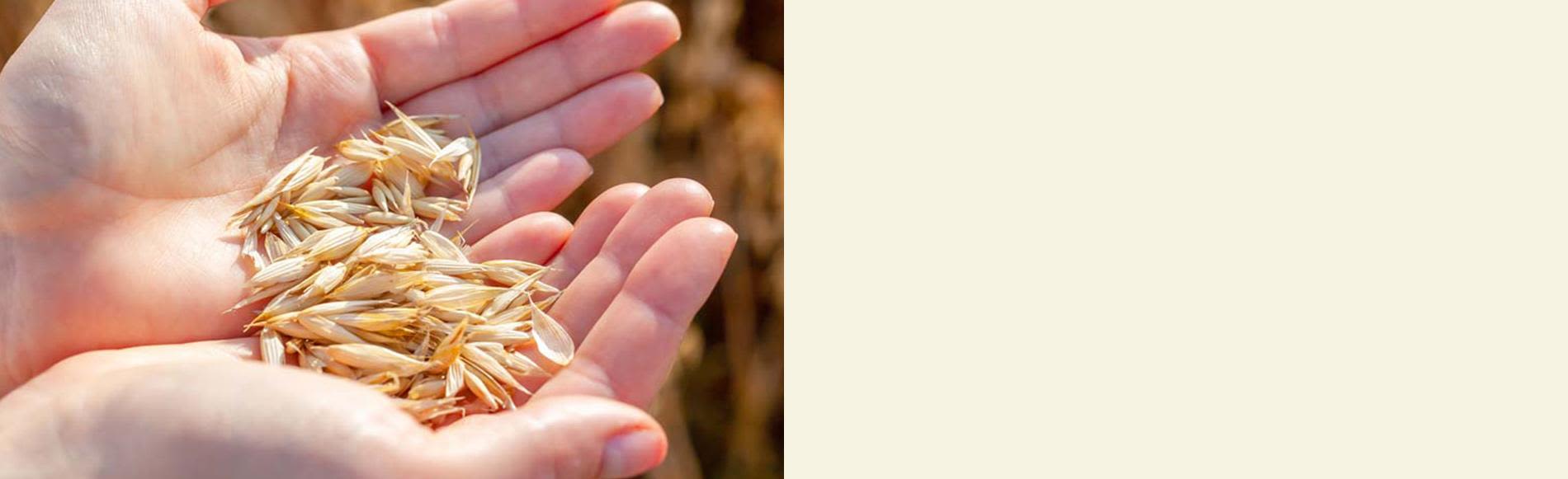 aveeno body sustainability banner