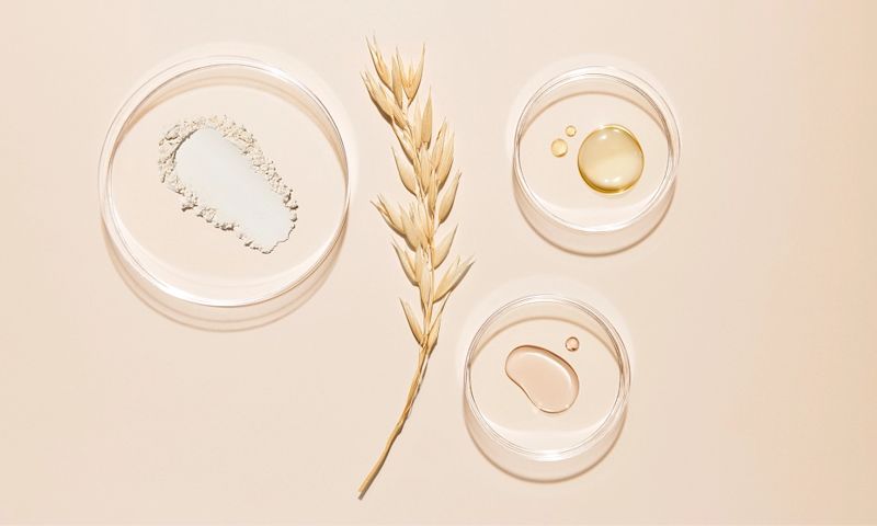 Prebiotic Oat in evidence image with glass bowls containing different states of oat ingredient