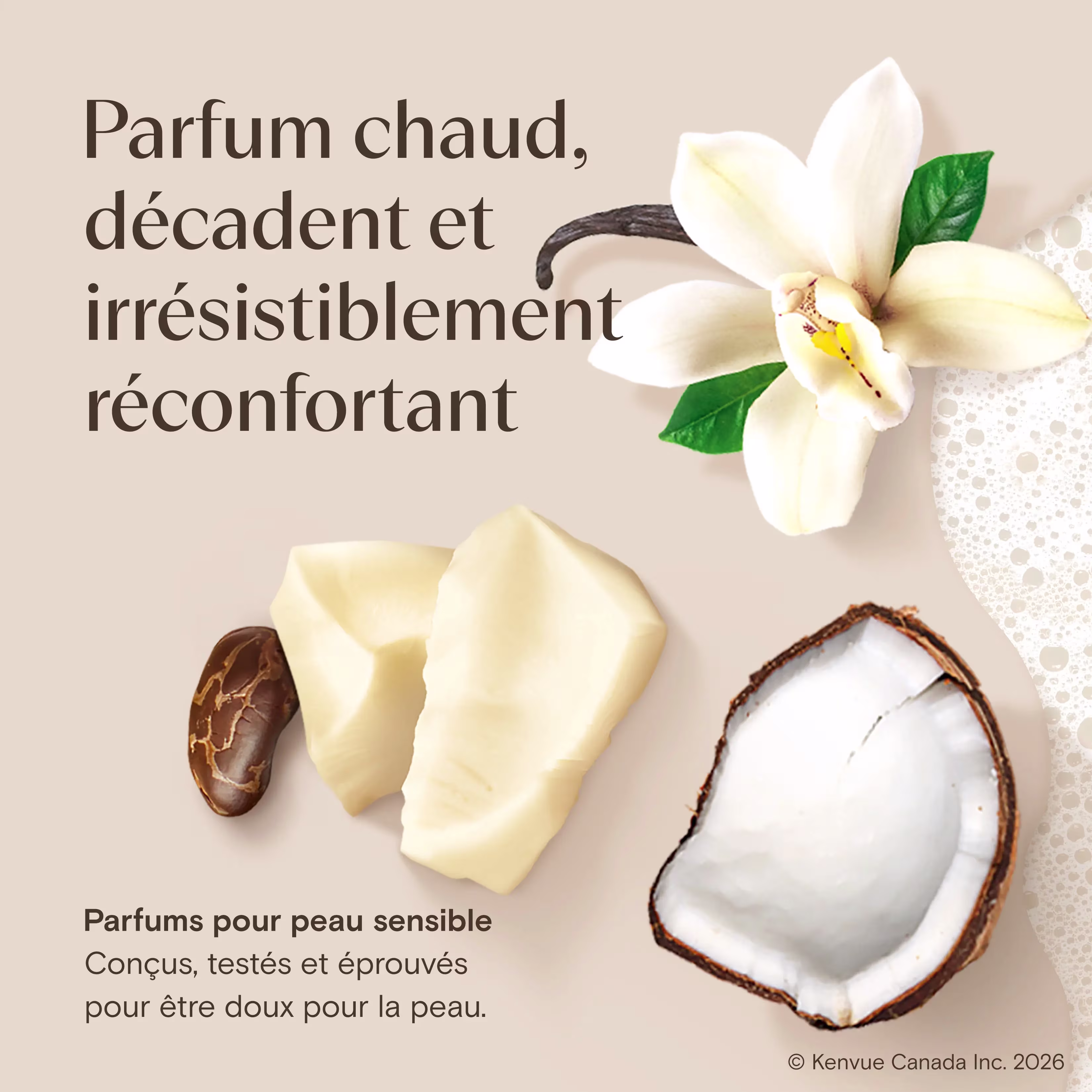 AVEENO Daily MoisturizingMC Body Wash Cocoa Butter Vanilla Scent