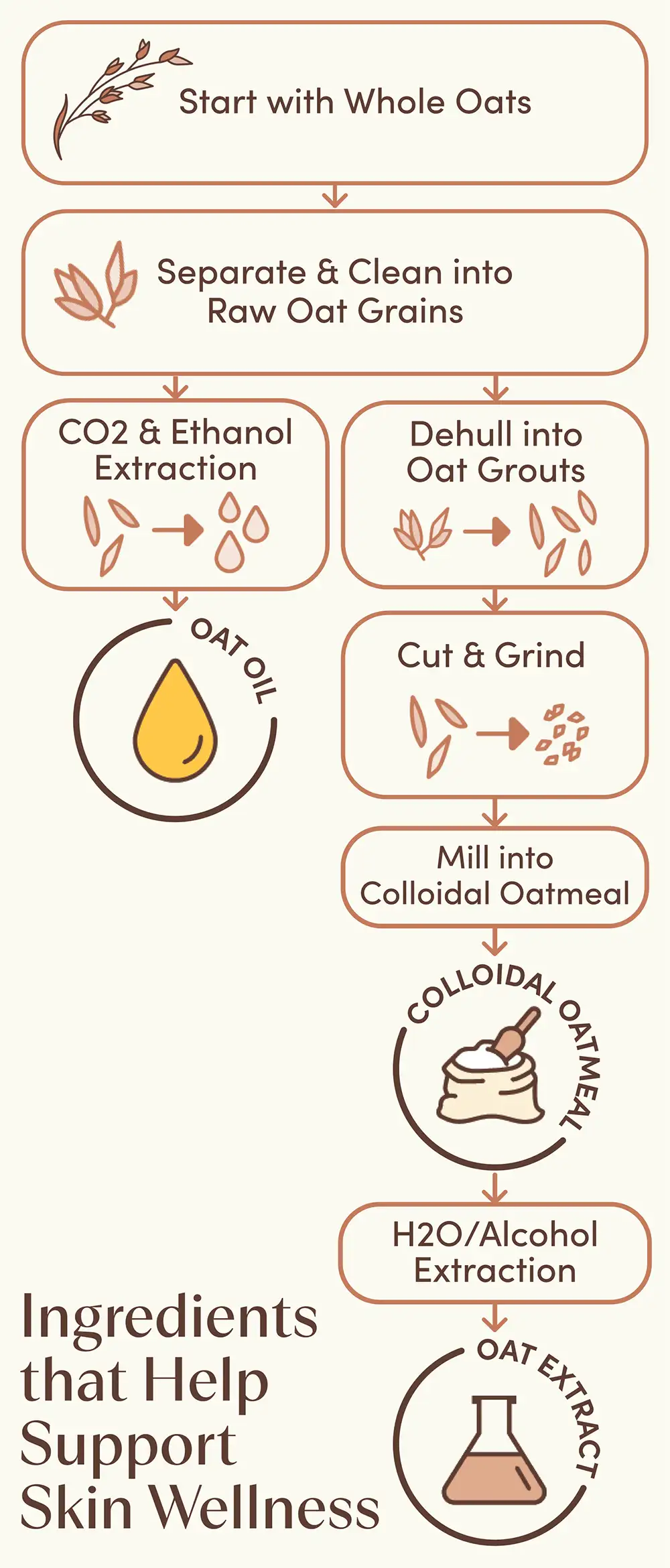 Whole skin wellness ingredients process-01-1