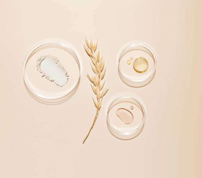 P00010773_Aveeno_Shot04_Ingredient_OatStalk_Petri_Global_Still_1063_r7_CMYK