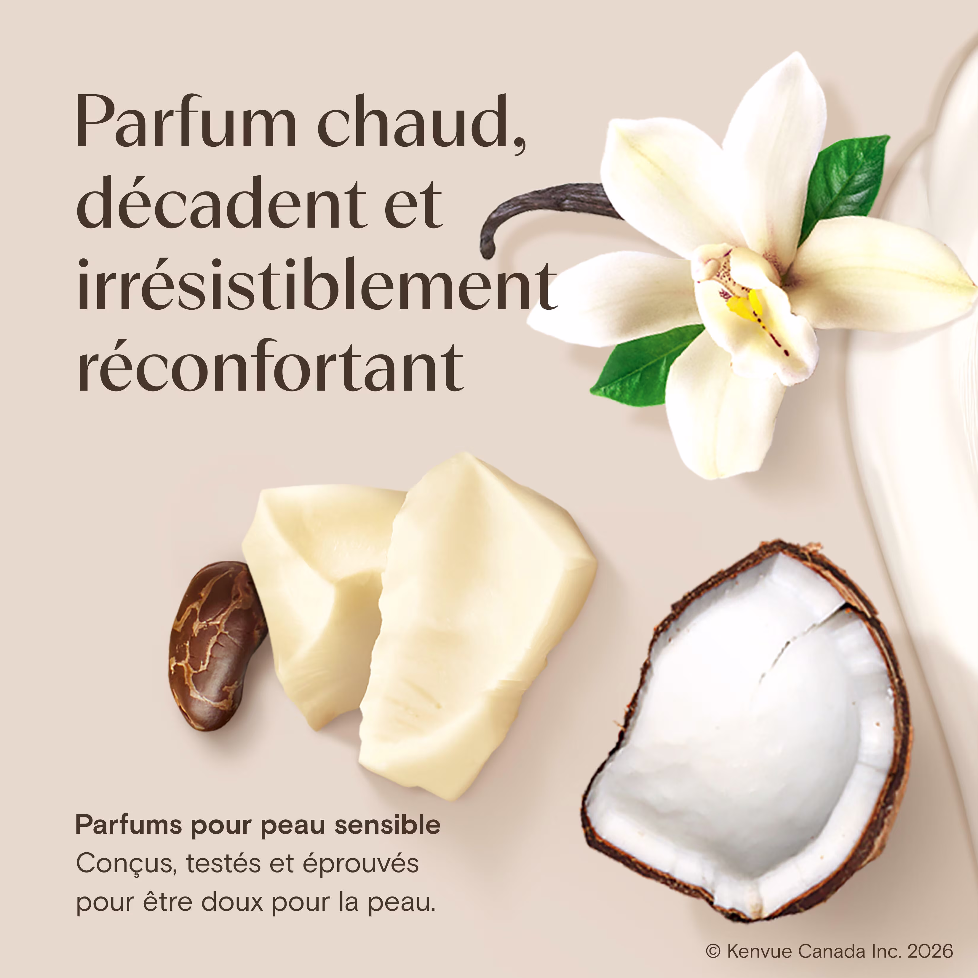 CocoaButter Vanilla CDN EDA