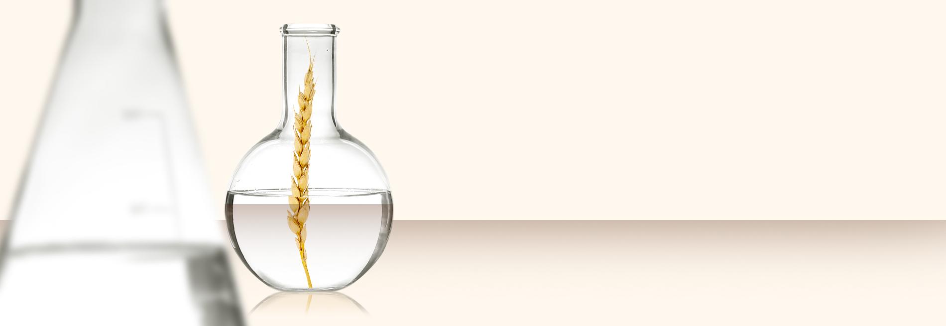 av065-learn-benefitoat-en-ph-Aveeno