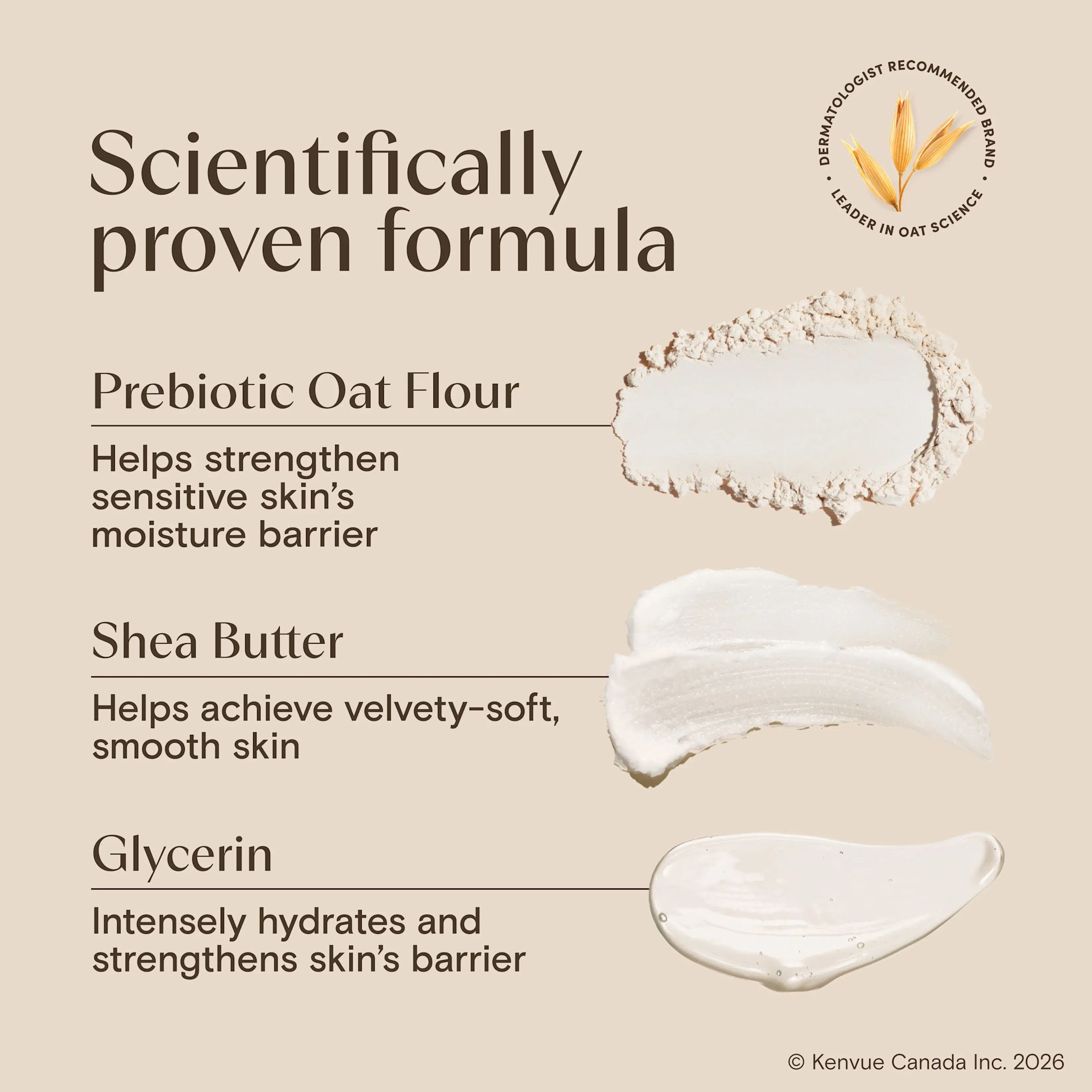 AVEENO Daily Moisturizing™ Body Wash Shea Butter Berry Scent
