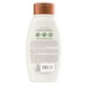 Back pack shot of Aveeno® Plant Protein Blend Shampoo 12oz