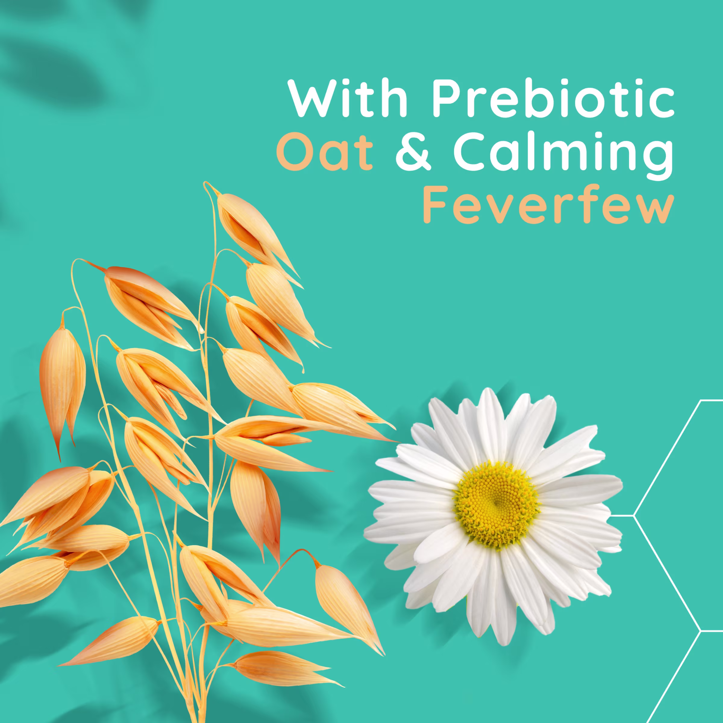 with prebiotic oat & calming feverfew