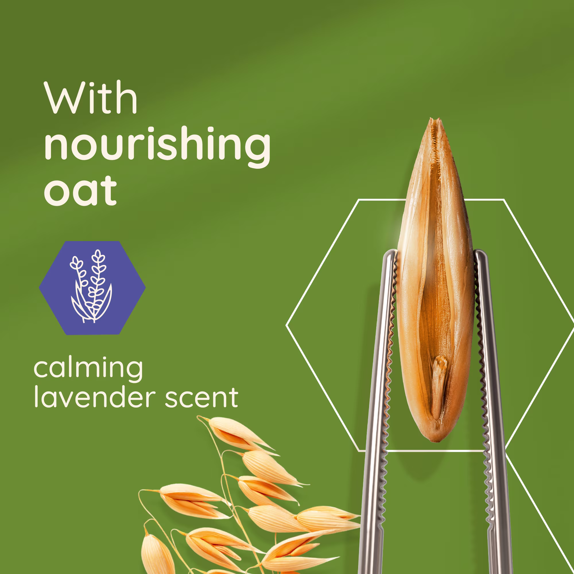with nourishing oat and calming lavender