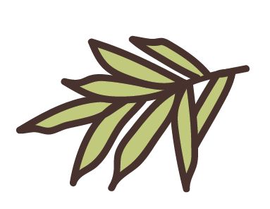Guar Gum Derivative