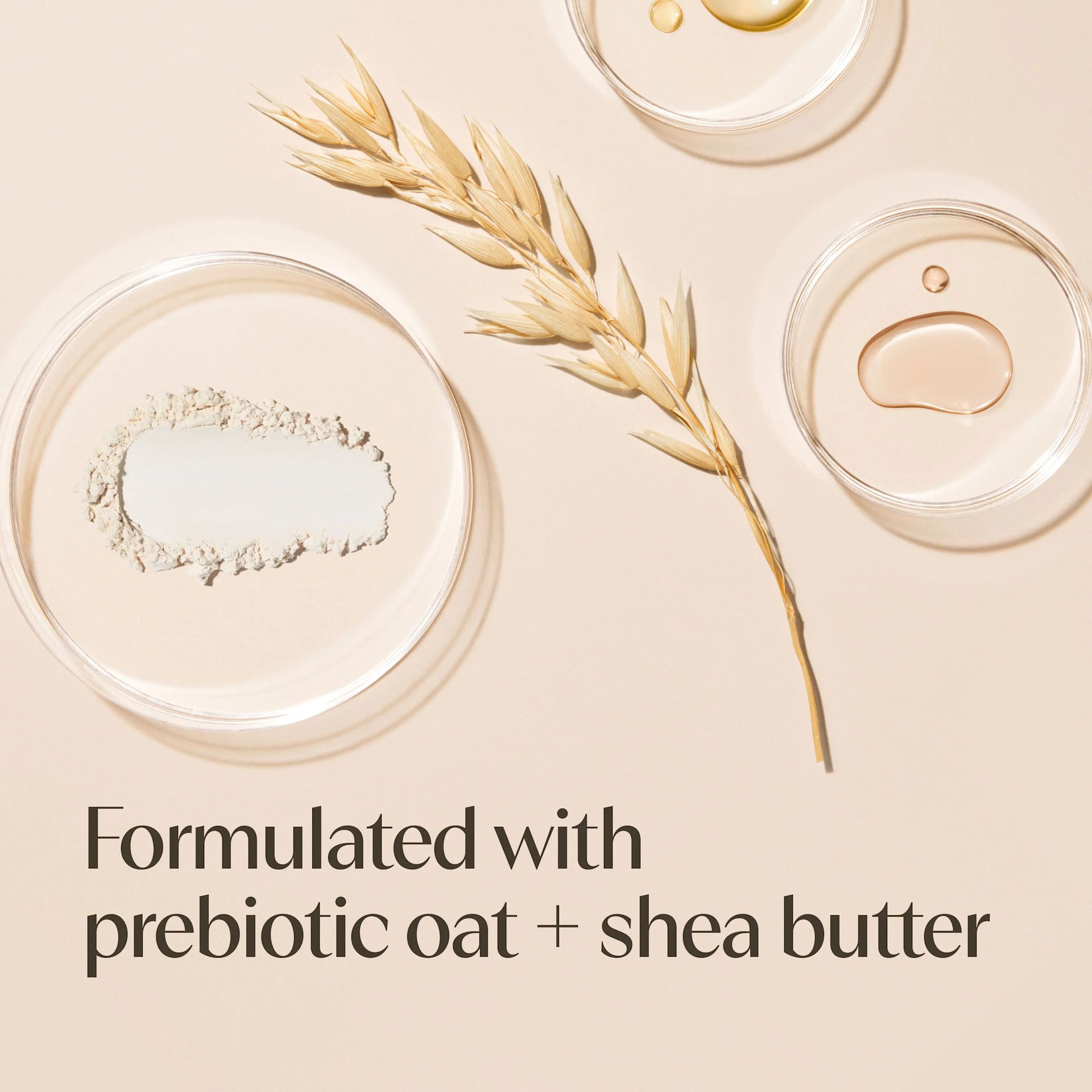 Aveeno® Daily Moisturizing Lotion, formulated with prebiotic oat & shea butter