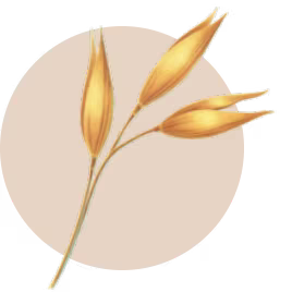 Oat