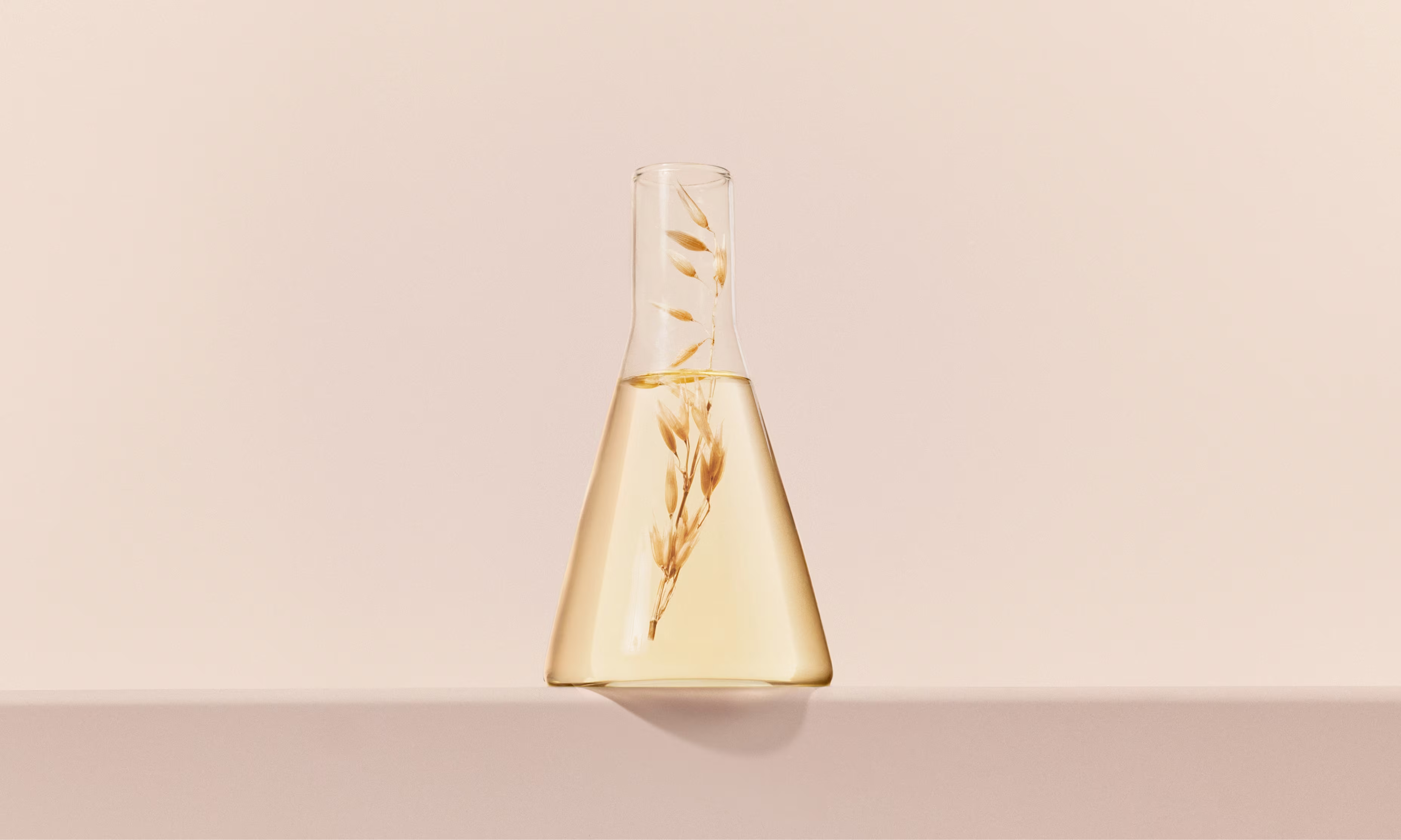 A glass flask containing a small oat plant, showcasing a formula based on oat ingredient