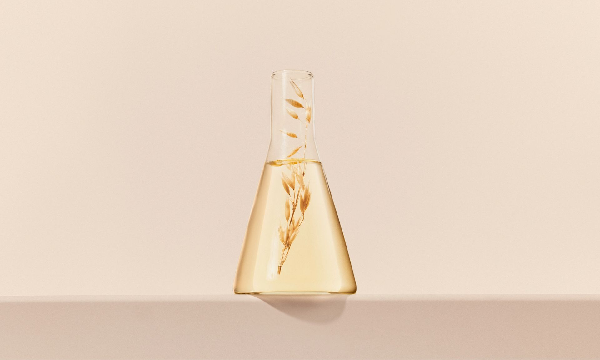 A glass flask containing a small oat plant, showcasing a formula based on oat ingredient