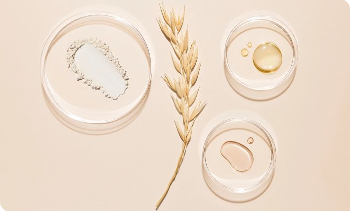 Oat extract in petri dishes showcasing benefits for skin relief and care