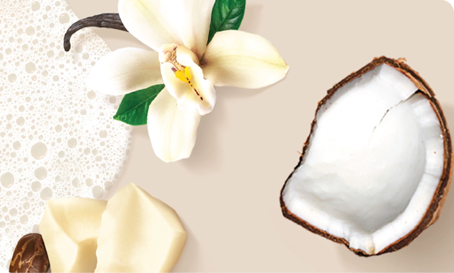 Image featuring Cocoa Butter Vanilla Scent showing the ingredients itself
