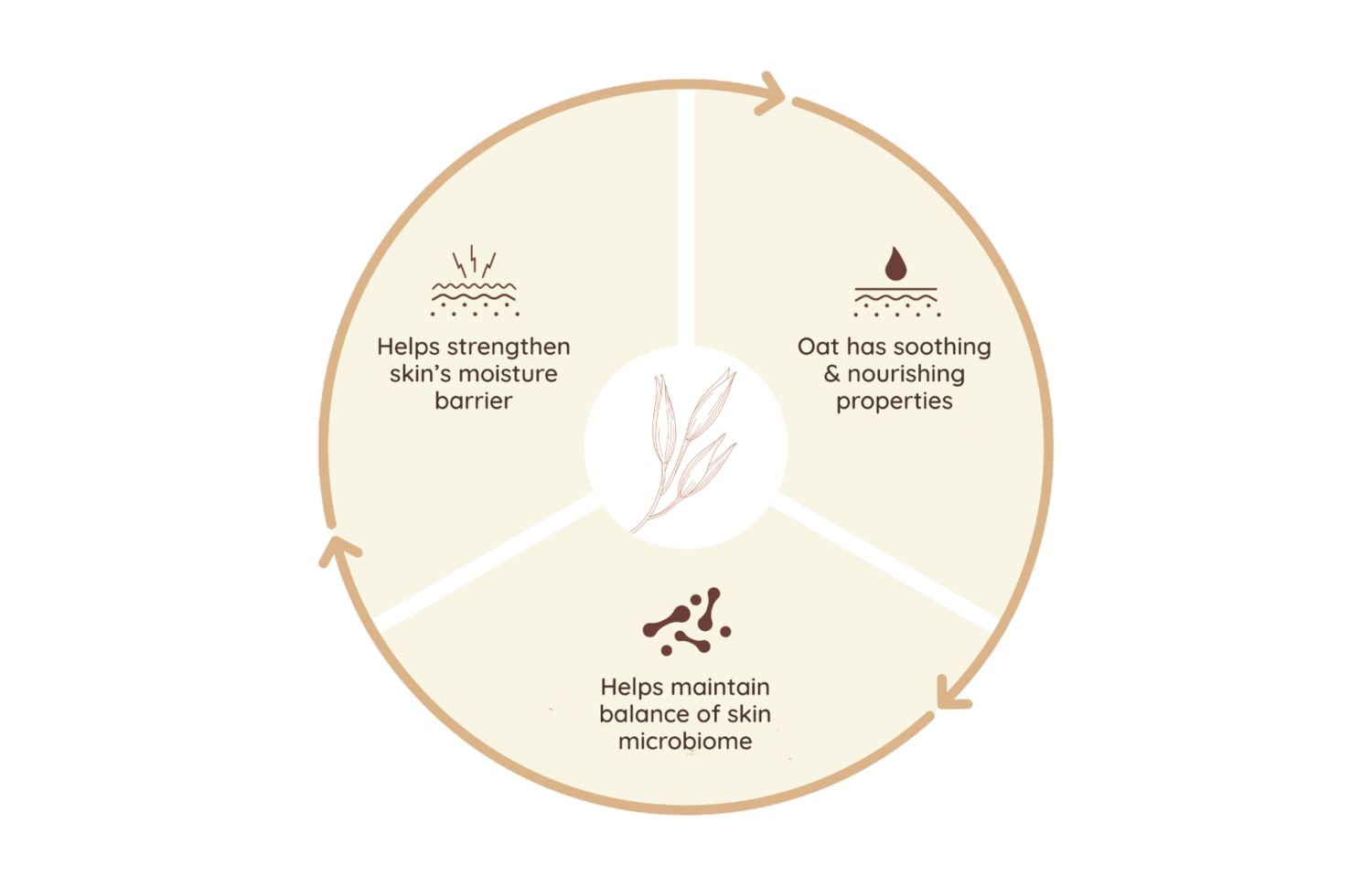 Power of Oat Infographic