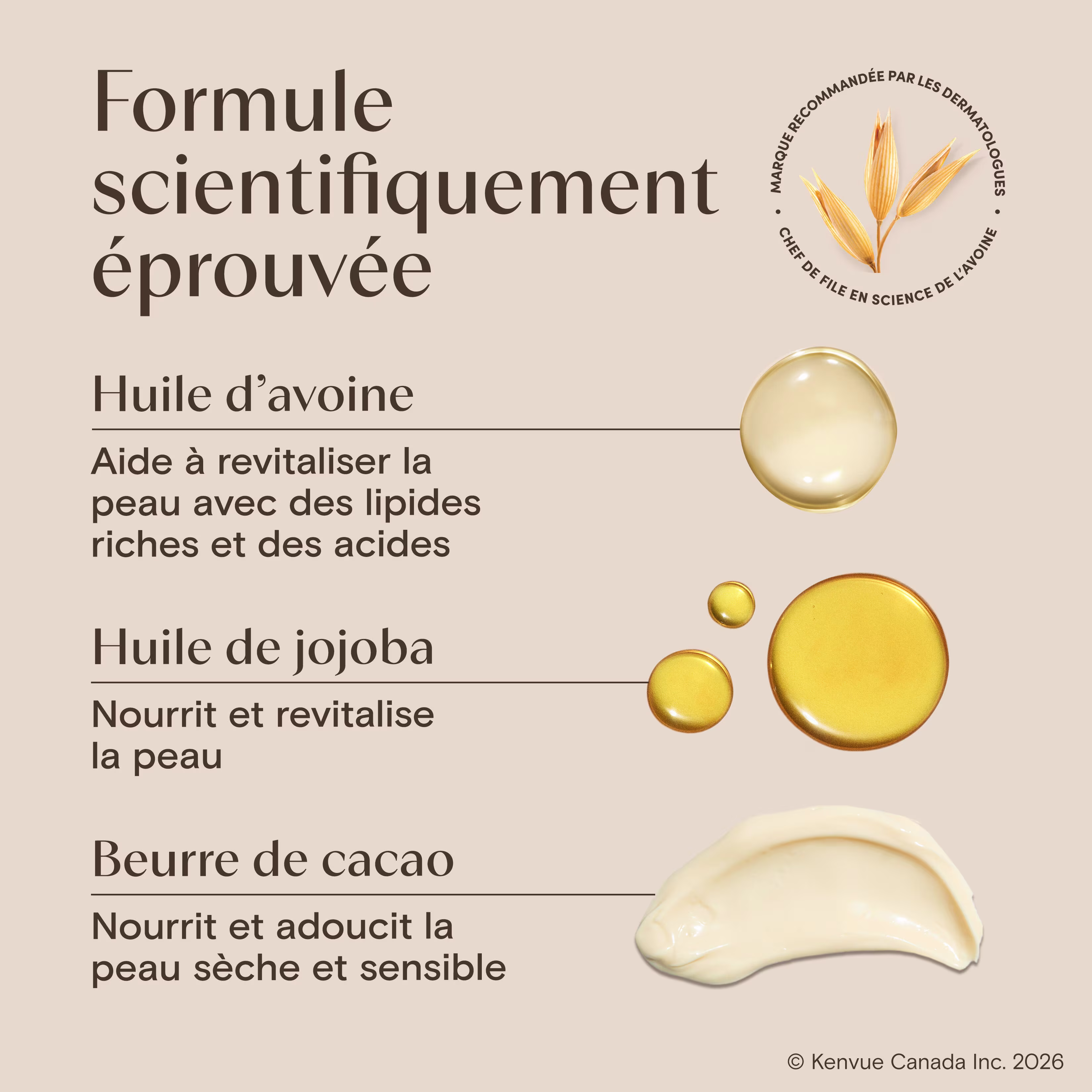 BodyOil CocoaButter Vanilla