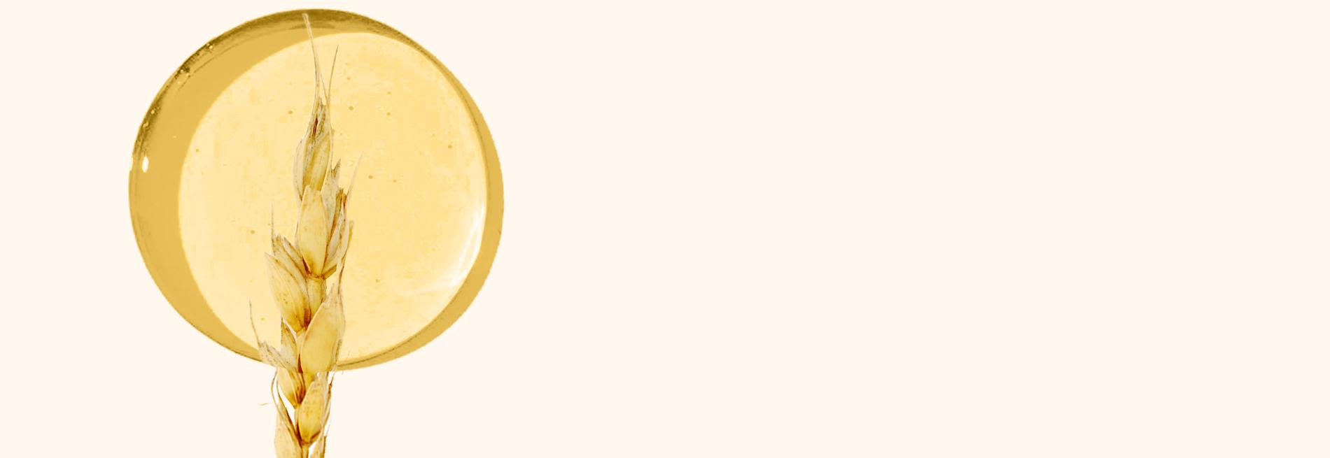 av065-about-ingredients-en-ph-Aveeno