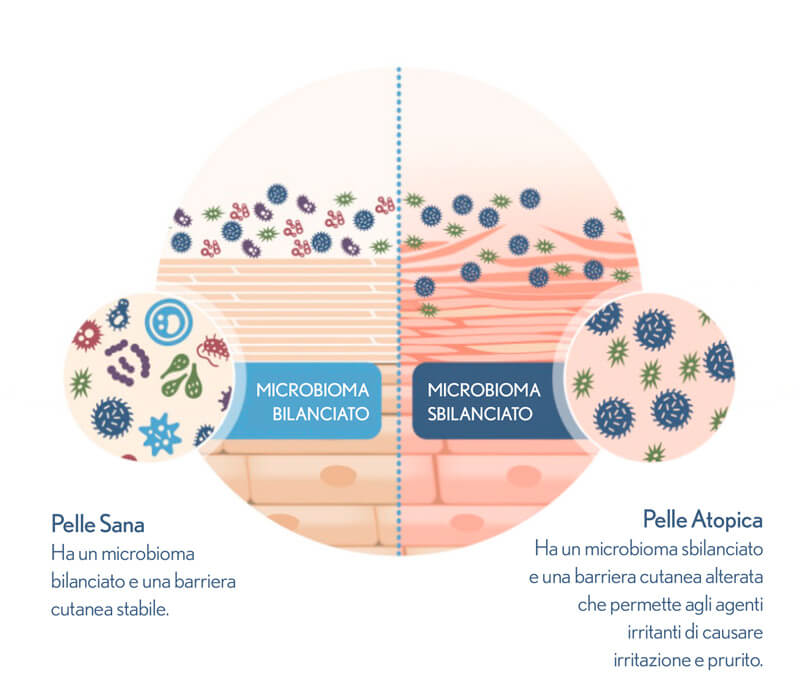 Fortifica il microbioma della pelle