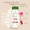 Aveeno® Daily Moisturizing Shea Butter Berry Body Wash, nourishing your skin indulge your senses
